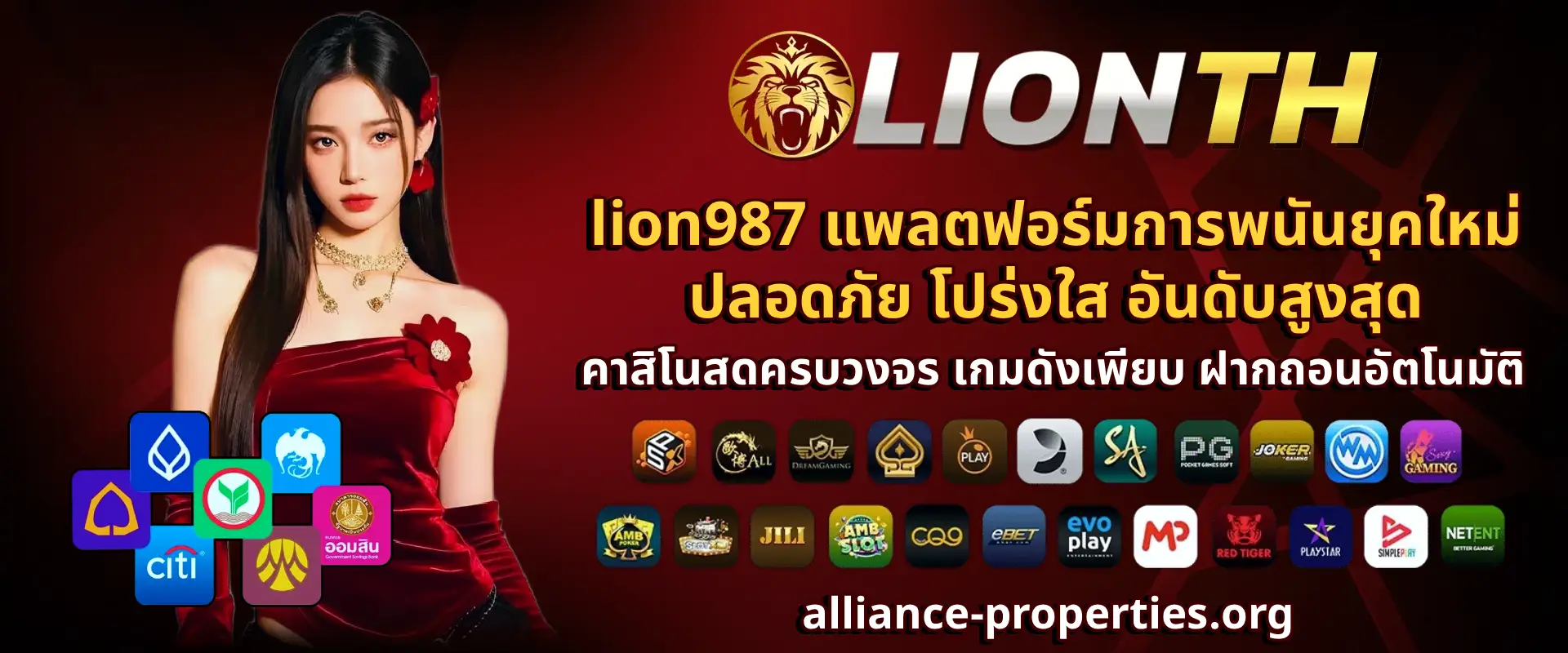 lion987